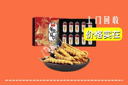 恩施州回收冬虫夏草