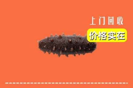 恩施州回收海参