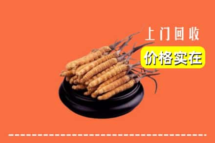 恩施州回收冬虫夏草